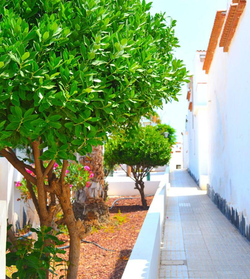 New Renovated Duplex Near The Ocean Located In Tenerife Sur طوستا ديل سيلونثيو المظهر الخارجي الصورة